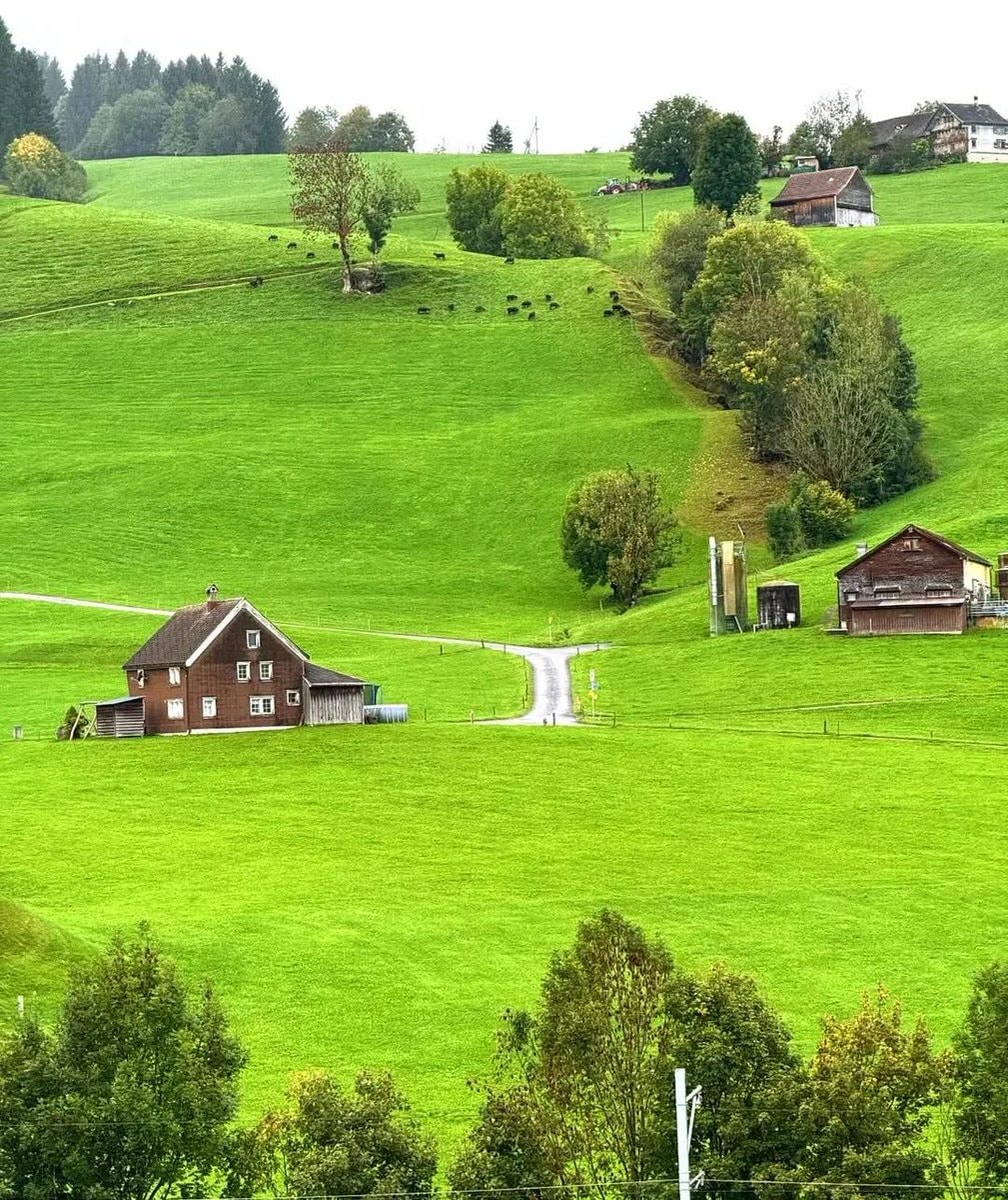 Switzerland Alpine Views 🇨🇭 (photo 2 of 4)