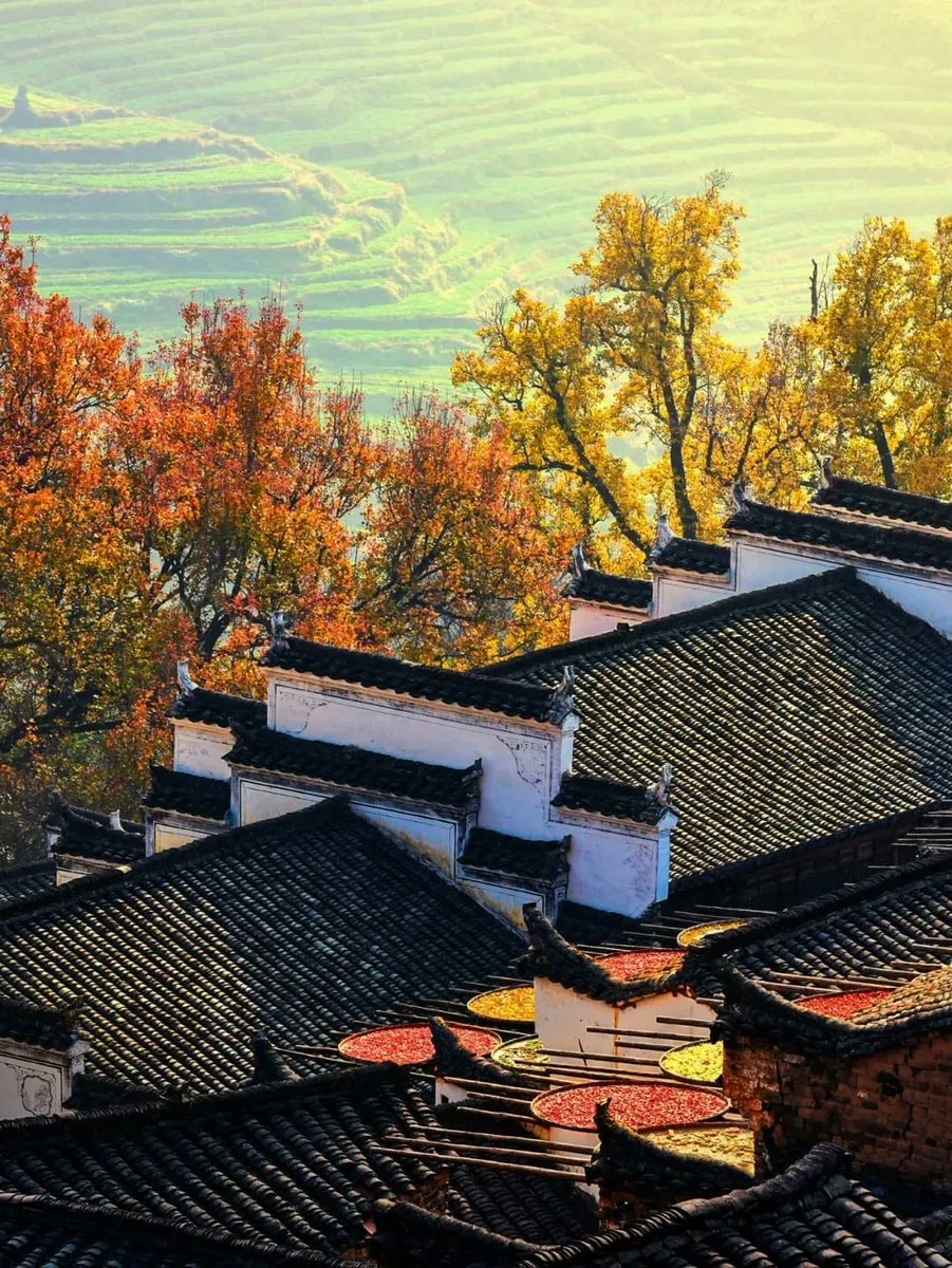 Jiangxi autumn harvest villages (photo 2 of 4)