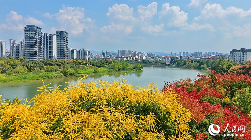 Jiangxi Zhang River early autumn