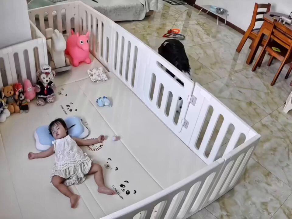 Dog plotting to steal baby's spot