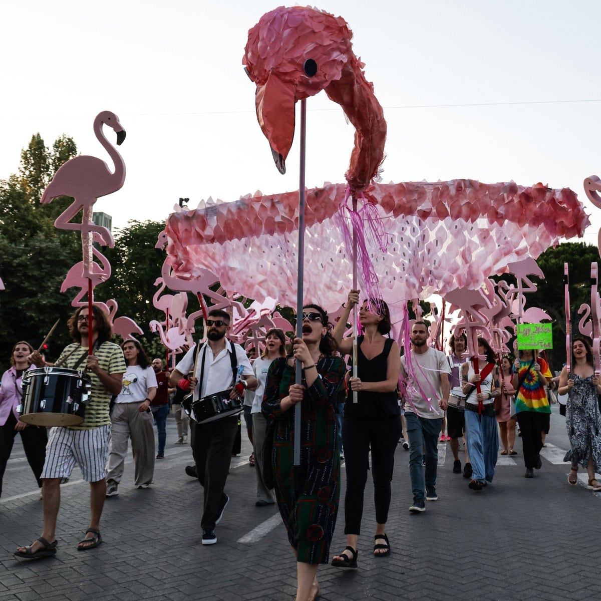 Albania Flamingo Revolution protest (photo 1 of 2)