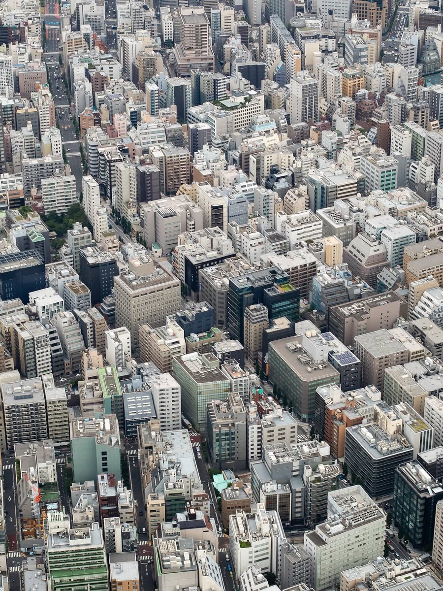 Tokyo Japan aerial view (photo 3 of 4)
