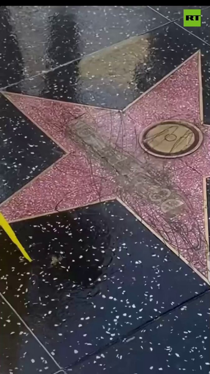 Dolly Parton Hollywood star damage Dolly Parton Hollywood star damage