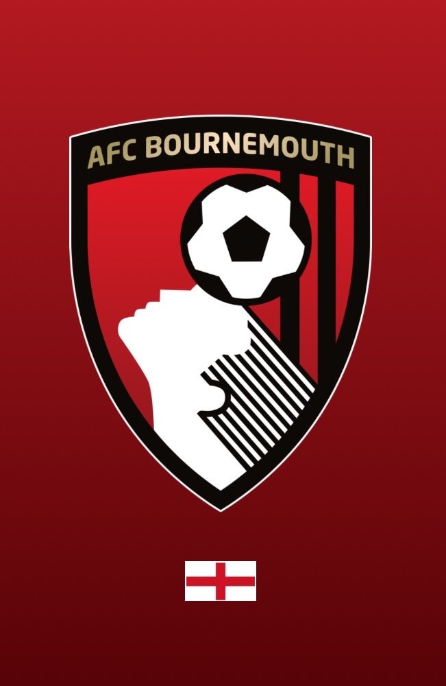 Rayan Bournemouth stats celebration (photo 2 of 2)