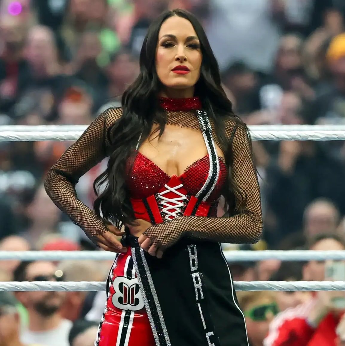 Brie Bella injury update Brie Bella injury update