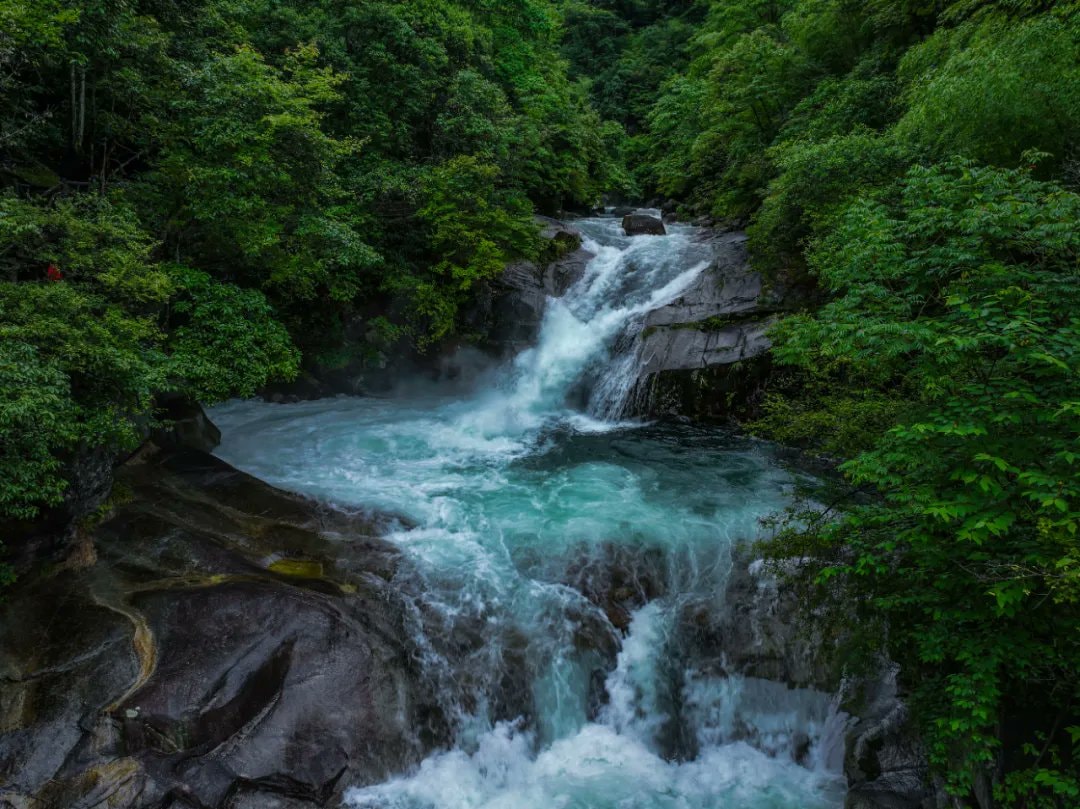 Scenic Dazhang Mountain Wolong Valley landscapes (photo 4 of 4)