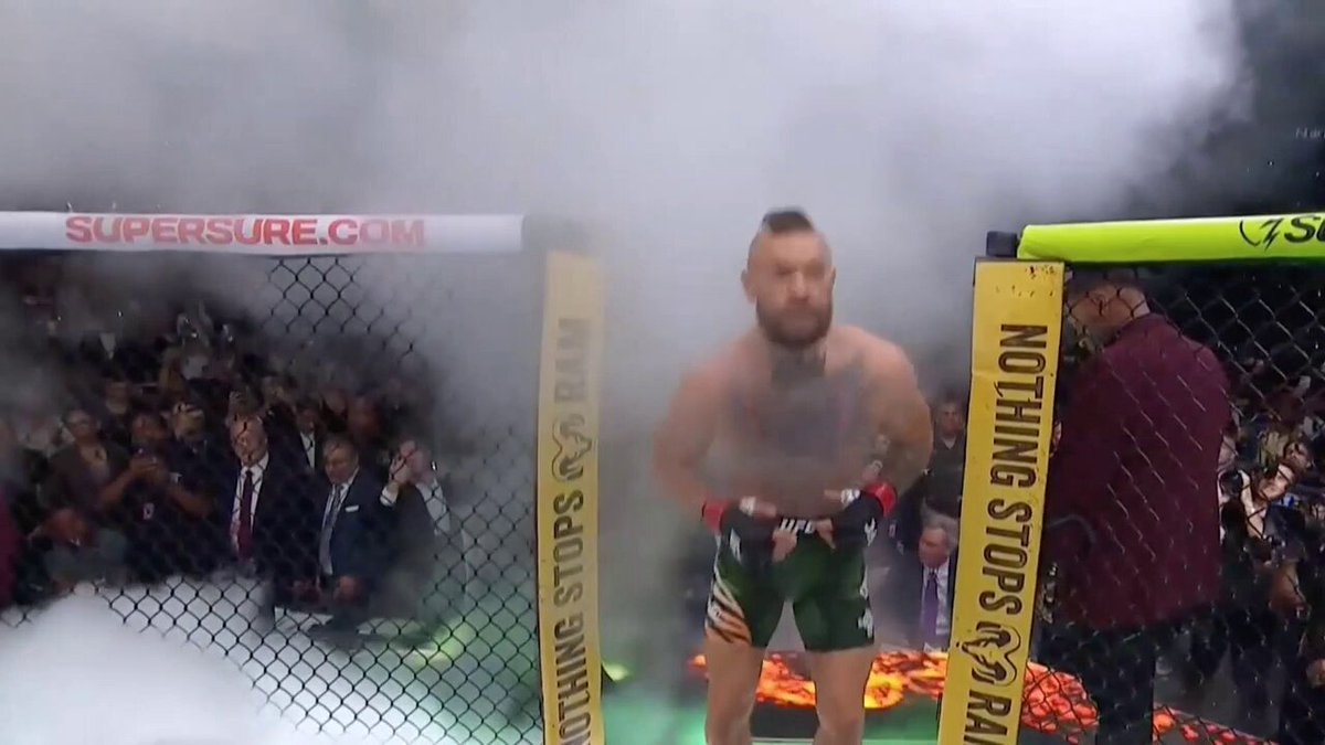 Conor McGregor octagon strut
