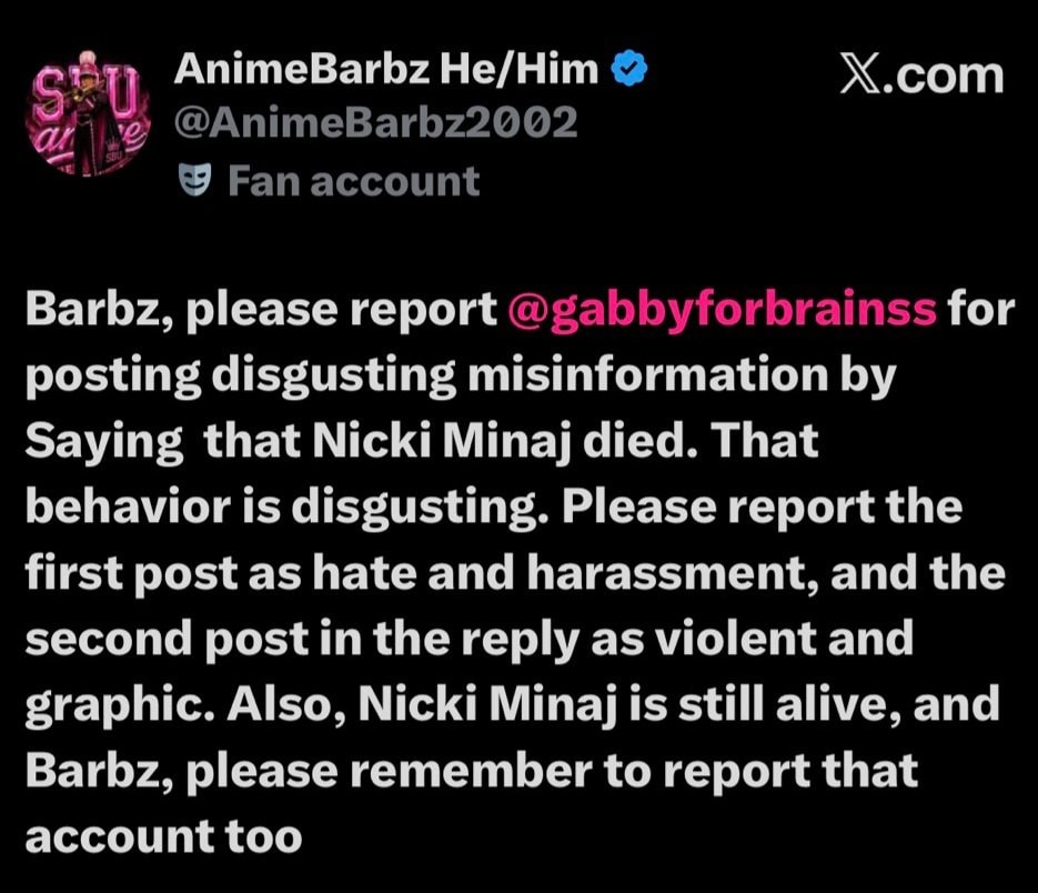 Nicki Minaj fan report @gabbyforbrainss (photo 2 of 2)