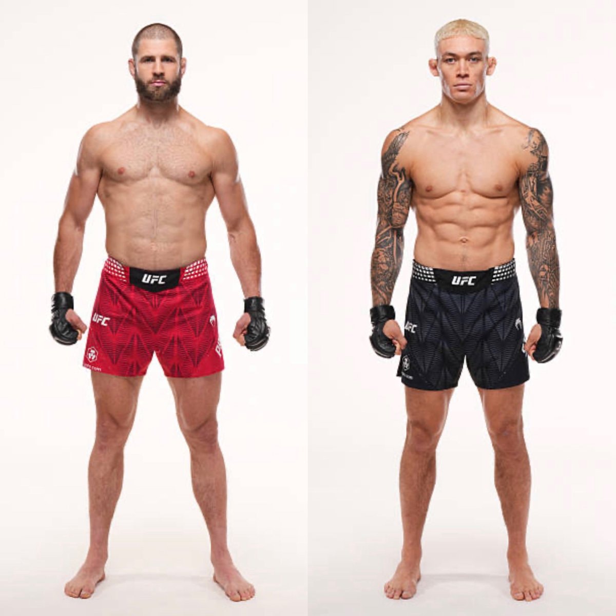 Jiri Prochazka vs Navajo Stirling UFC Qatar Jiri Prochazka vs Navajo Stirling UFC Qatar