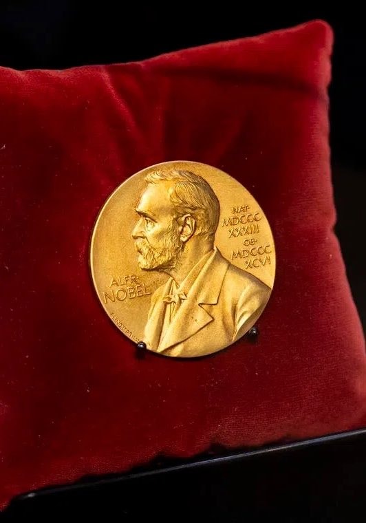 Navanethem Pillay 2026 Nobel Peace Prize (photo 2 of 2)