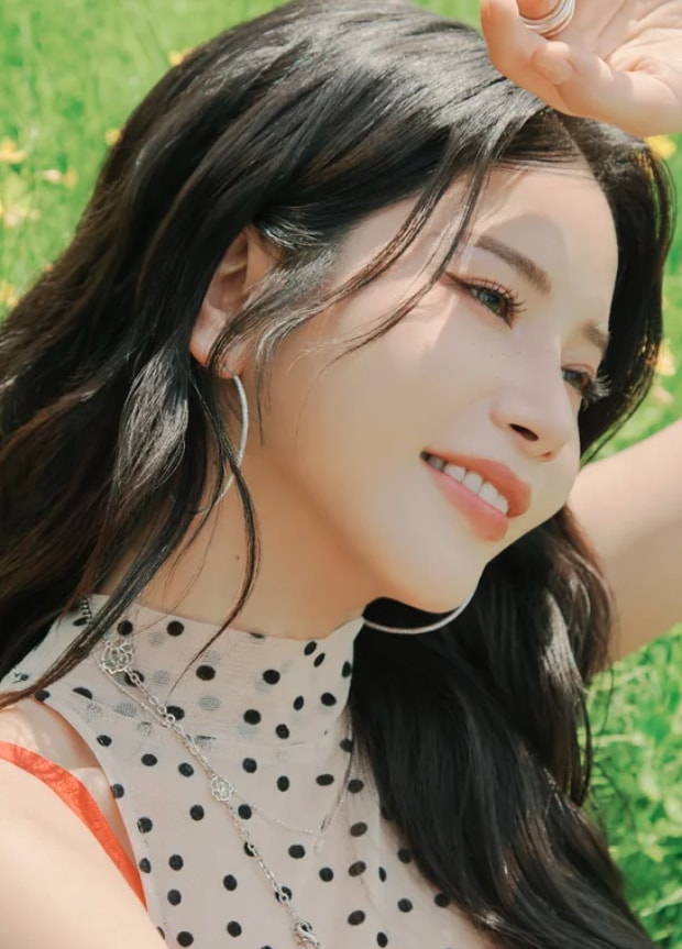 Solar MAMAMOO LA incident (photo 2 of 2)