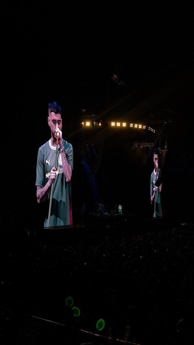 Zayn Flamengo Palmeiras Nubank Parque (photo 2 of 2)