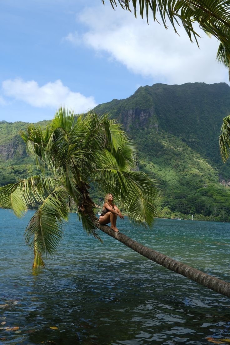 French Polynesia pond scene (photo 2 of 4)