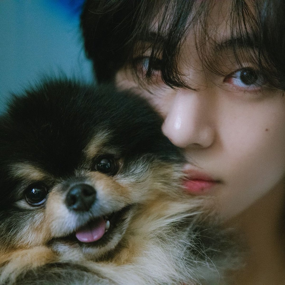 Yeontan National Dog Photography Day record (photo 2 of 2)