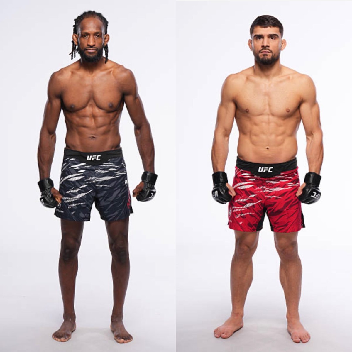 Neil Magny Ramiz Brahimaj UFC 330