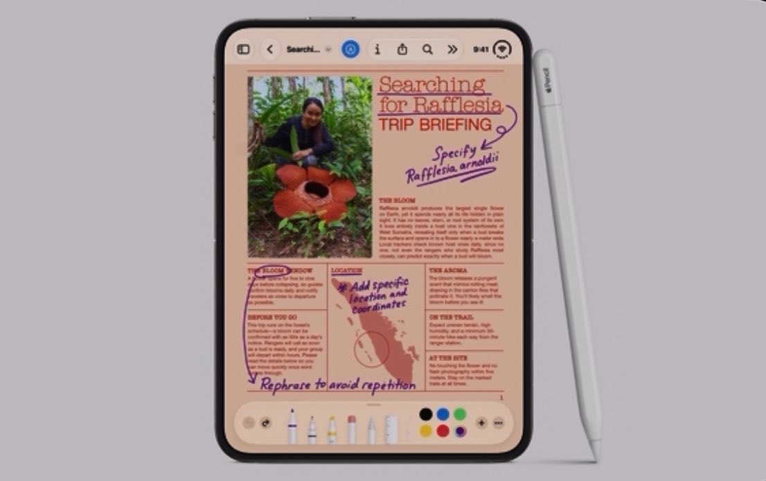 iPhone Duo Apple Pencil support