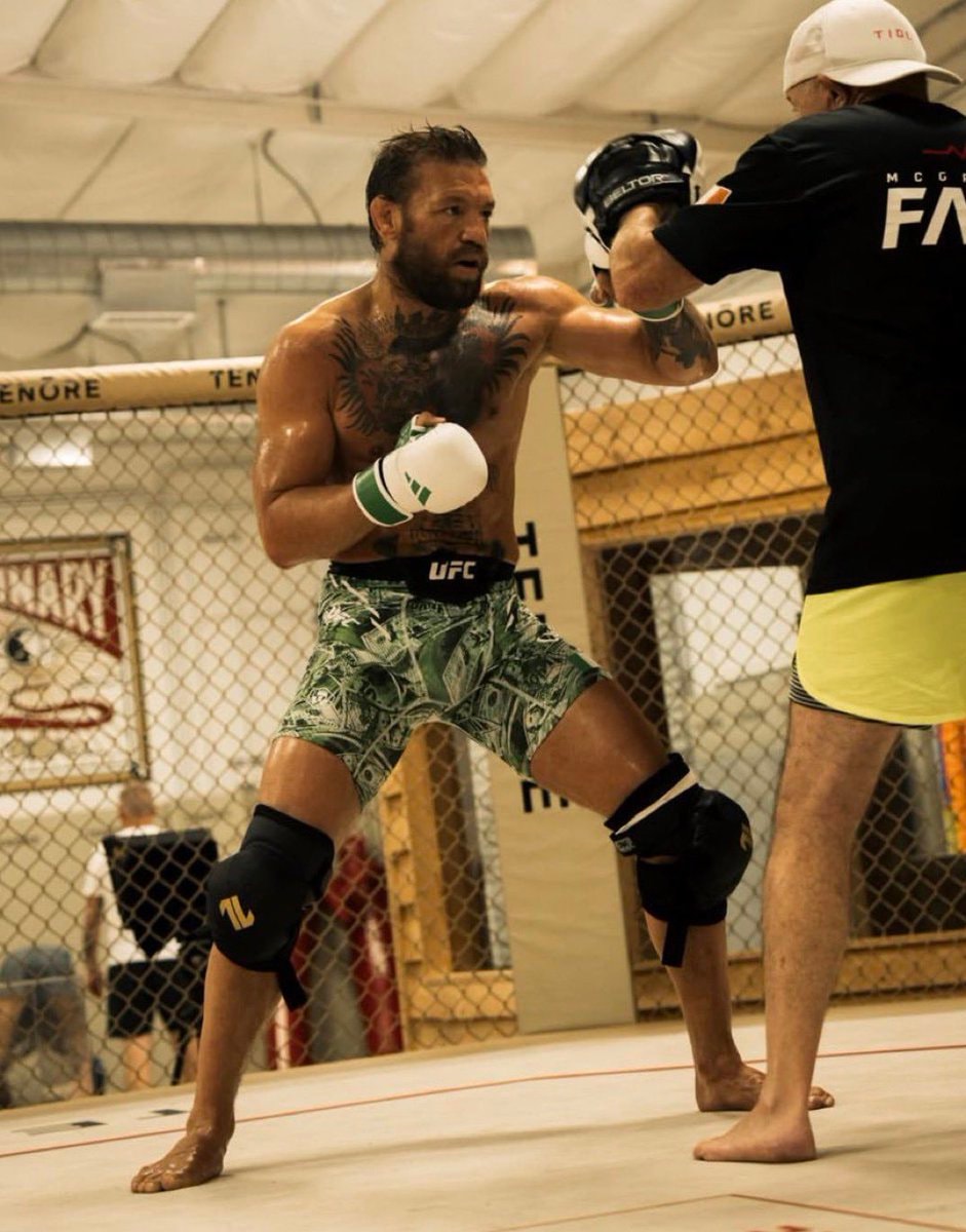 Conor McGregor training money shorts