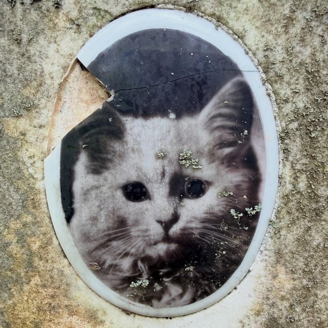 Mon Minet Jaunet gravestone (photo 1 of 2)
