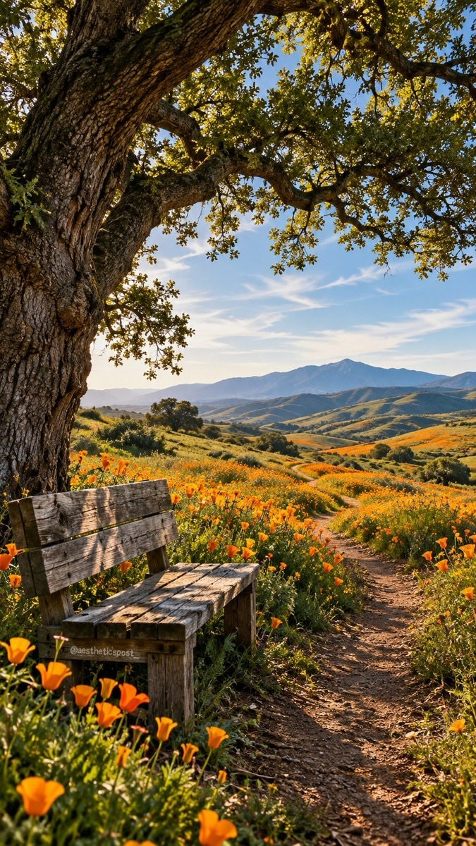 orange wildflowers bench