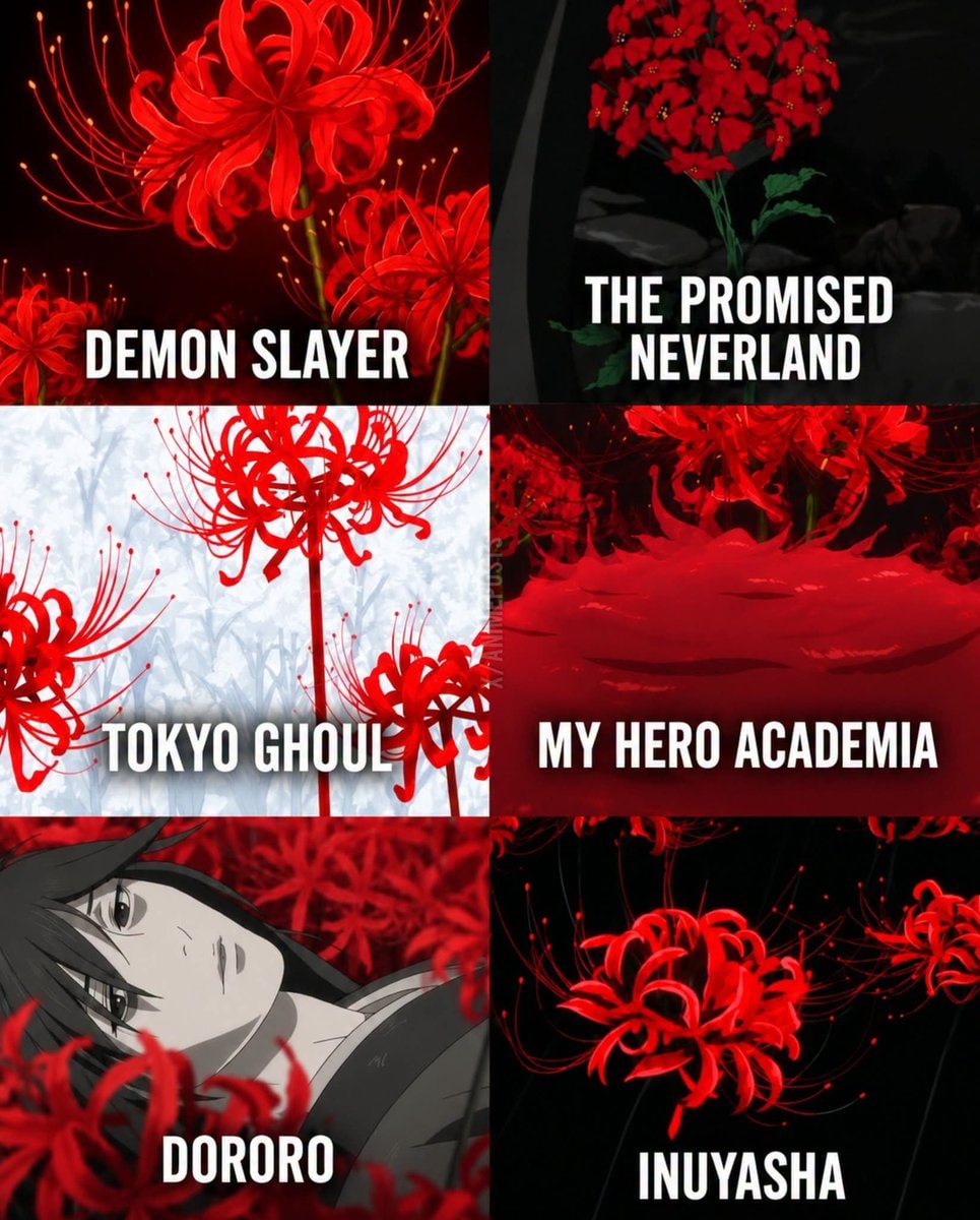Spider Lilies in Anime