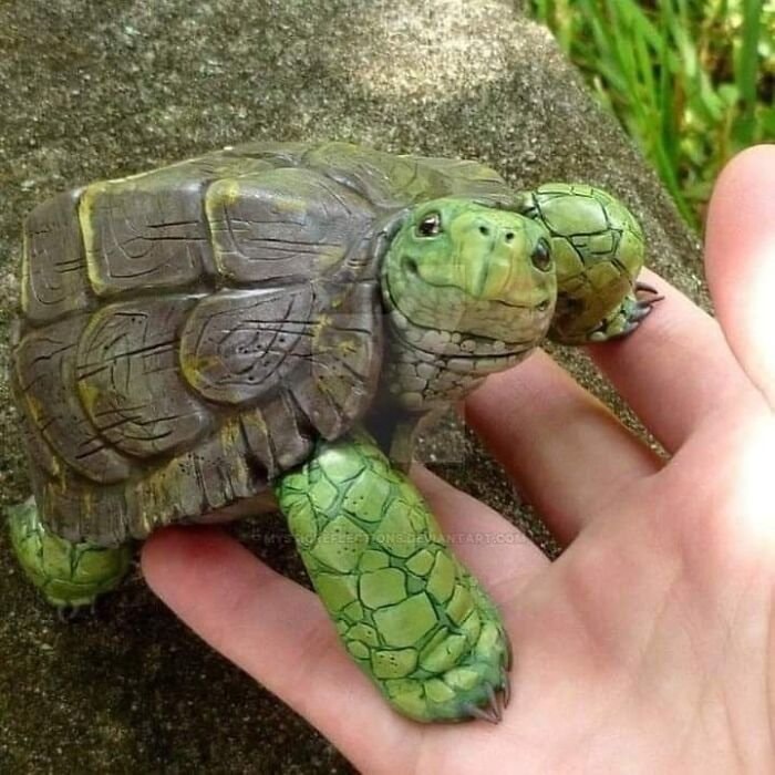 turtle sculpture hope