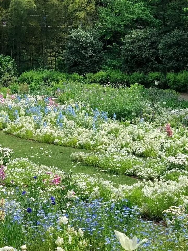 serene picnic meadow (photo 3 of 4)
