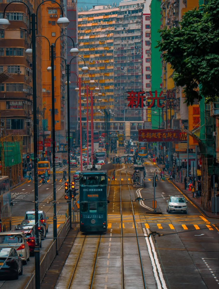Hong Kong trams reflection (photo 2 of 3)
