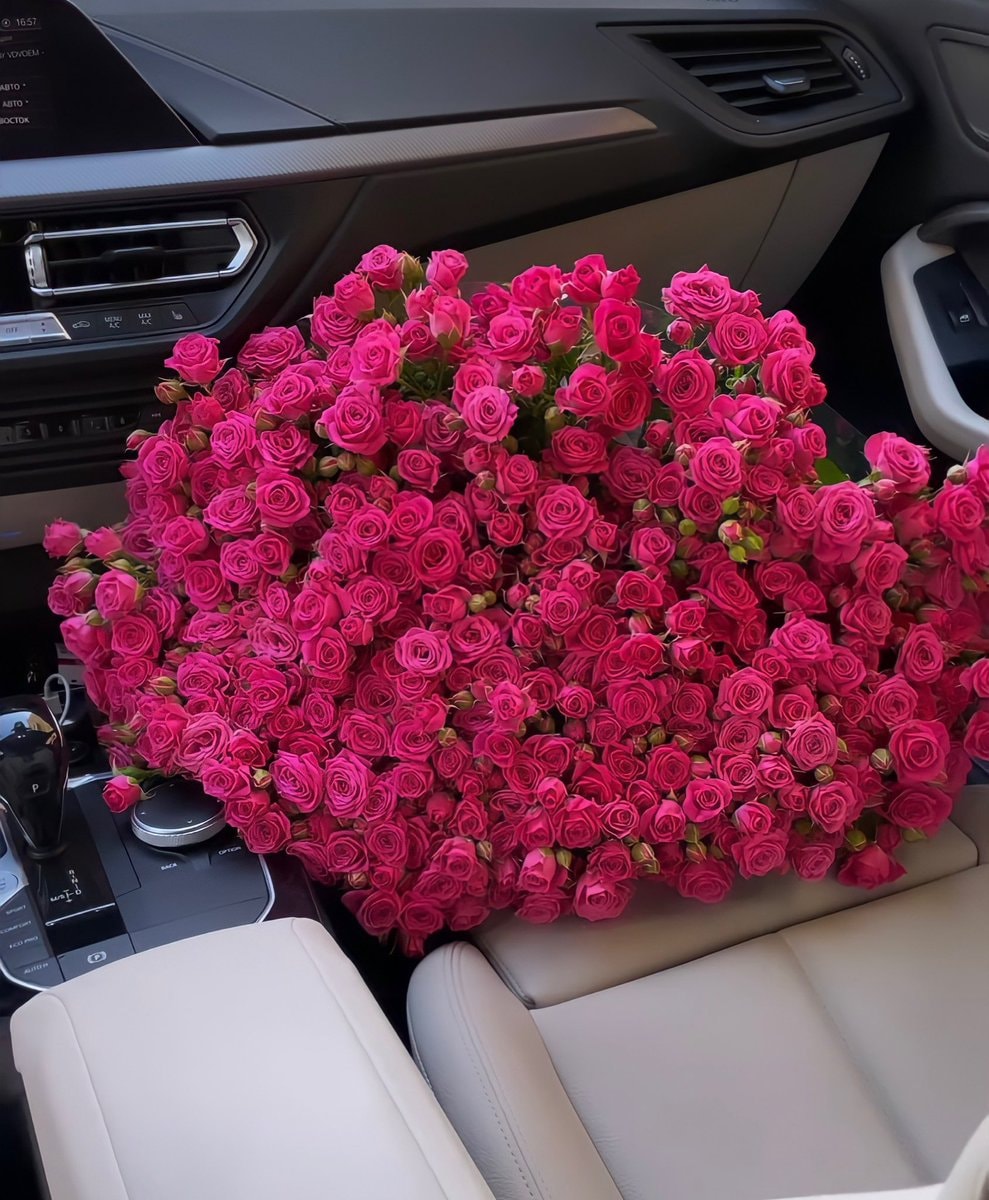 pink roses in a car