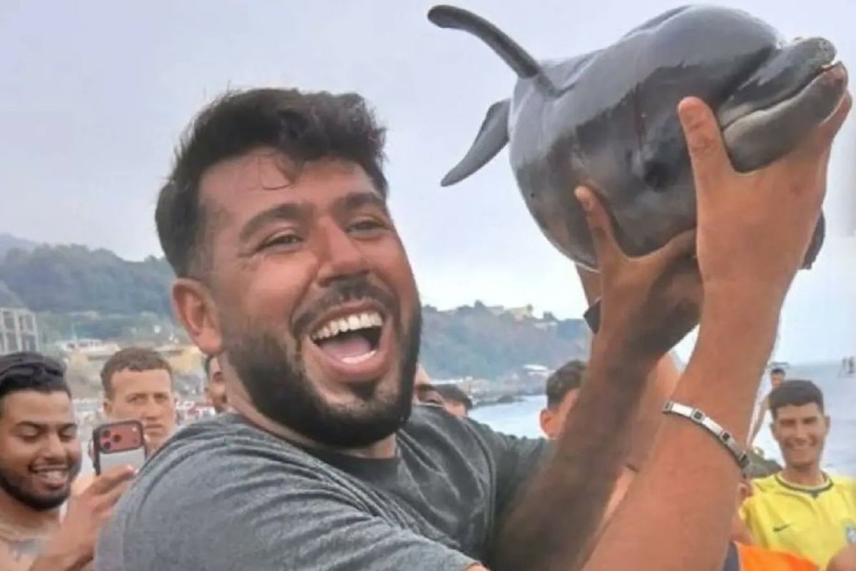 Migrants dolphin incident Ceuta Migrants dolphin incident Ceuta