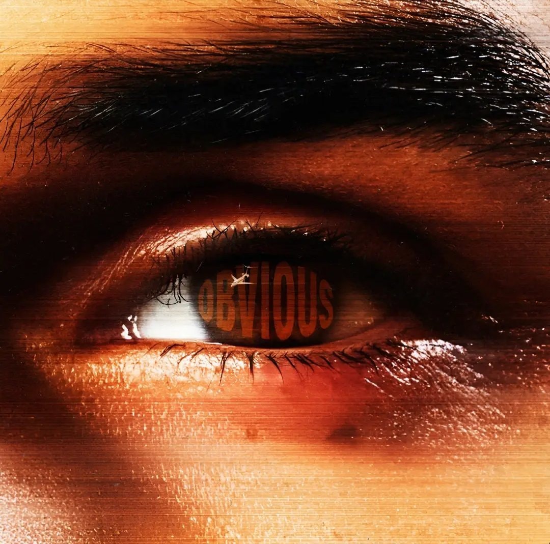 Chris Brown OBVIOUS 22nd number one