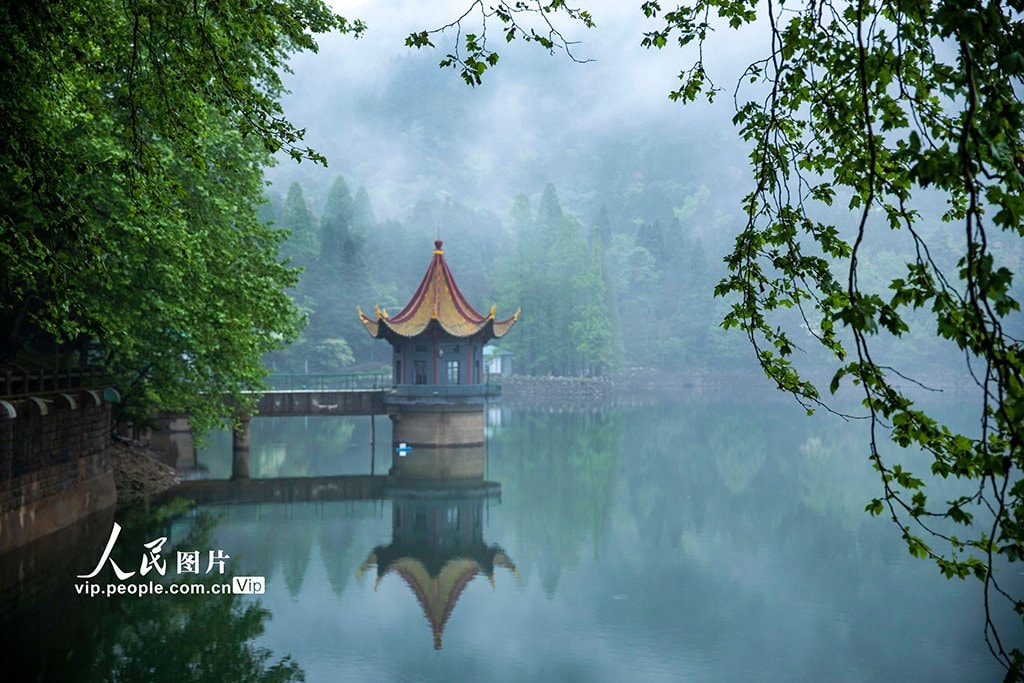 Mount Lushan sea of clouds (photo 4 of 4)