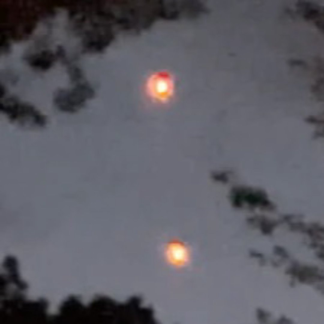 Trump UFO files orb videos (photo 2 of 2)