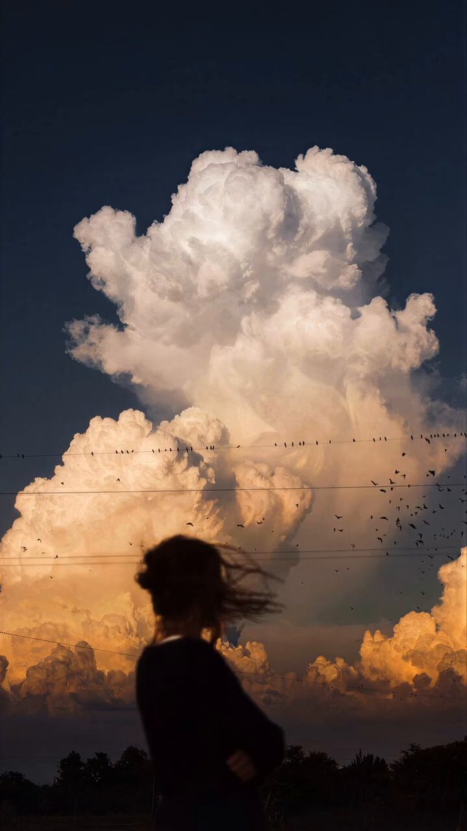 Silhouette against clouds and birds