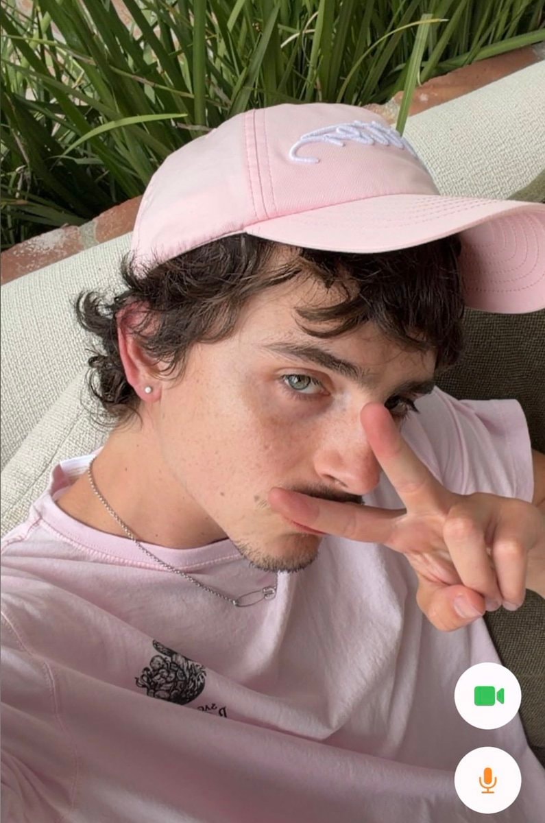 Timothée Chalamet