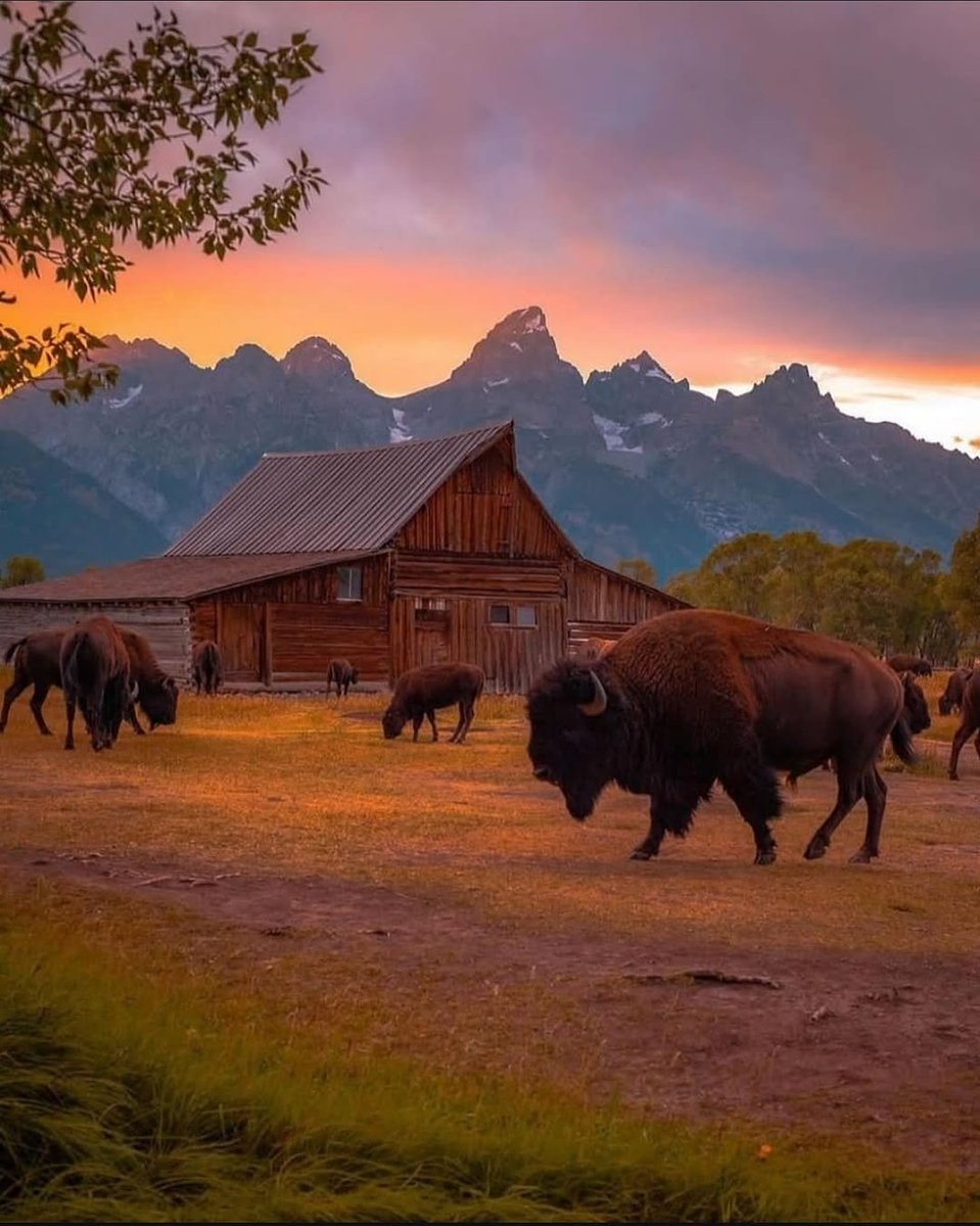 Grand Teton National Park