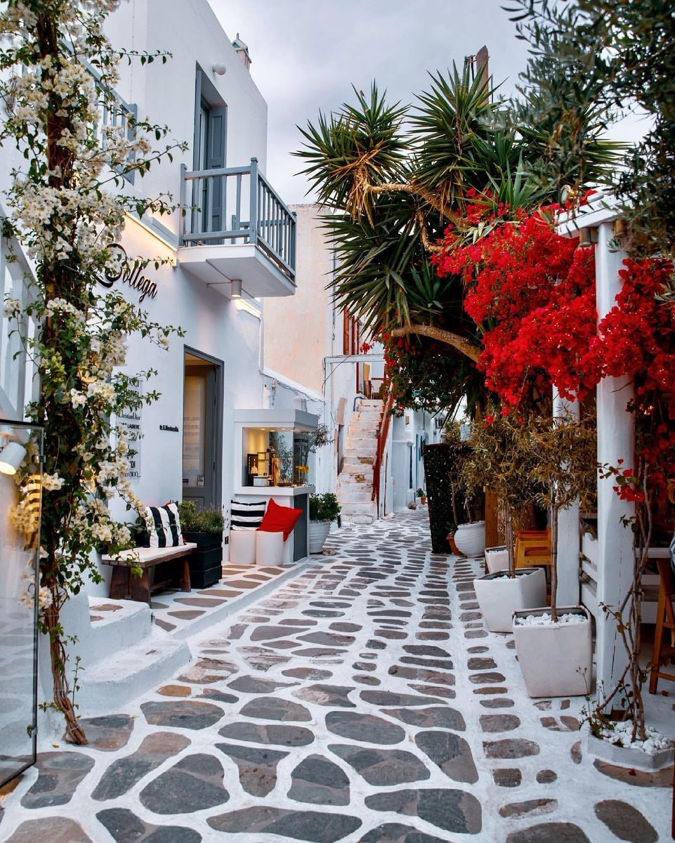 Mykonos Greece sandal shop bougainvillea (photo 2 of 4)