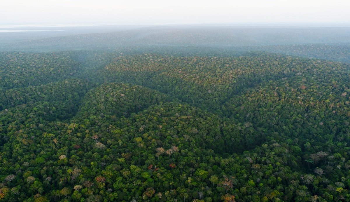 Colombia Amazon rainforest protection (photo 2 of 2)