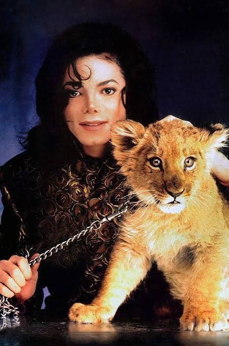Michael Jackson with ginger kitten (photo 3 of 3) Michael Jackson with ginger kitten (photo 3 of 3)