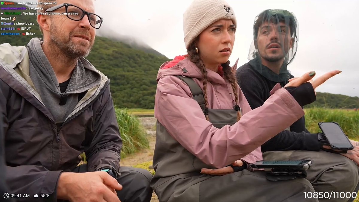Bear hunts salmon Alaska