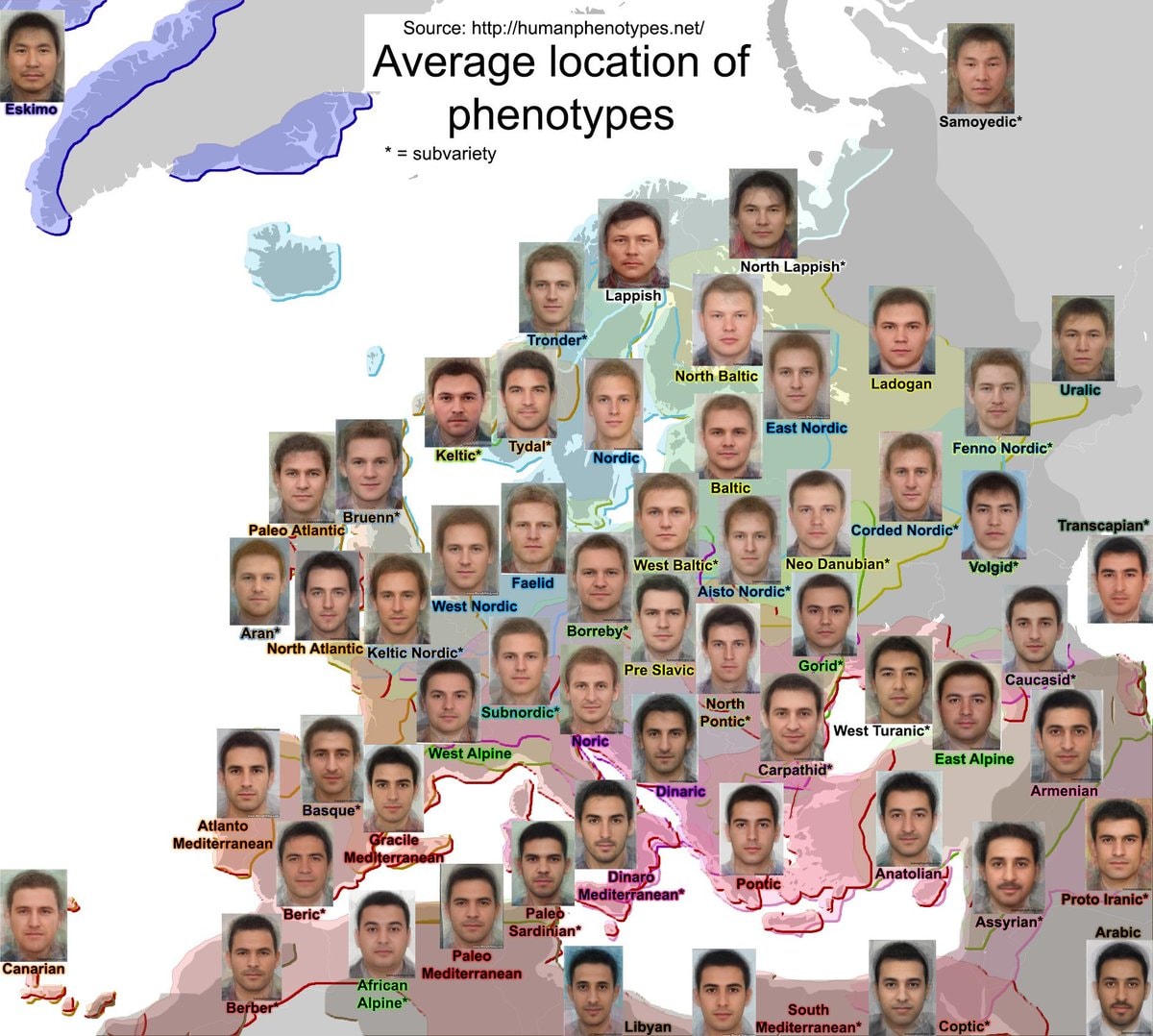 male phenotype map Europe male phenotype map Europe