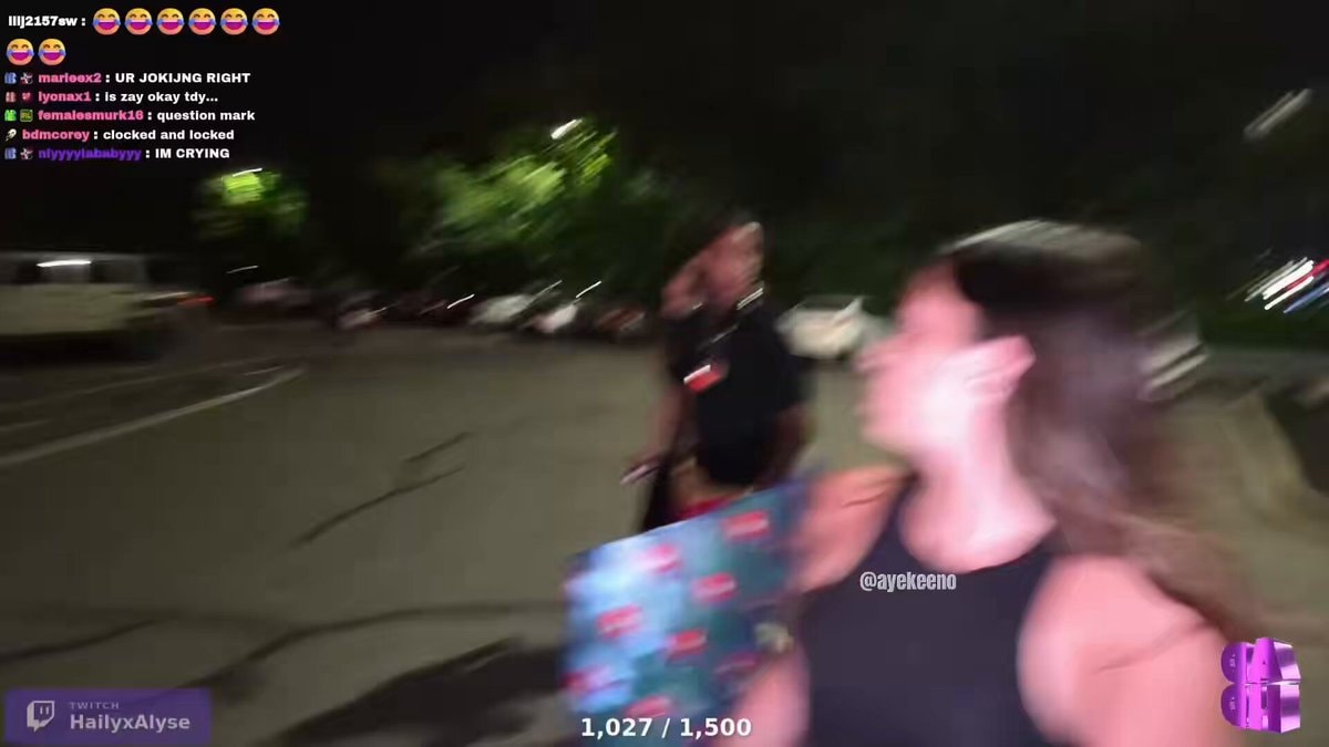 Haily and Alyse Twitch fight