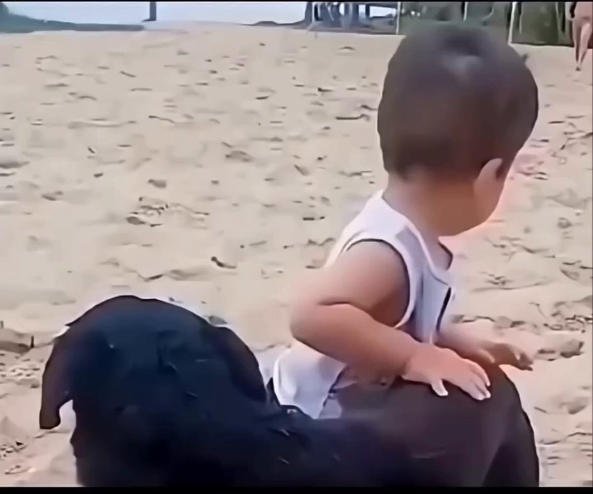 Toddler riding black dog on beach