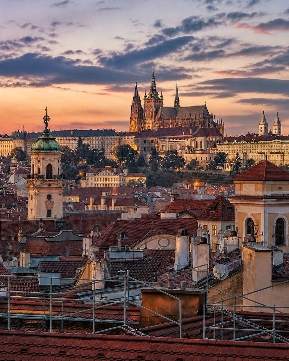 Prague Castle tulips sunset (photo 3 of 3)