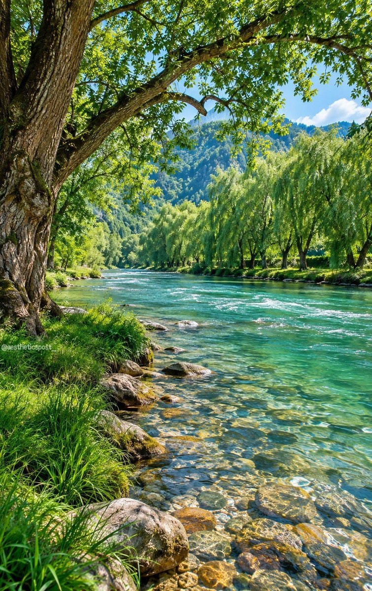 serene natural landscape