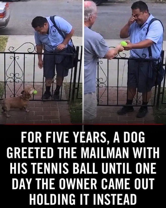 Mailman cries after five years with dog