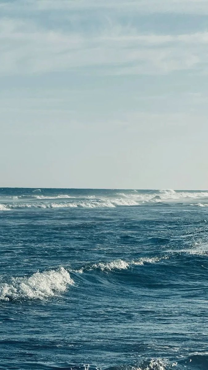 seagulls over choppy ocean (photo 4 of 4)