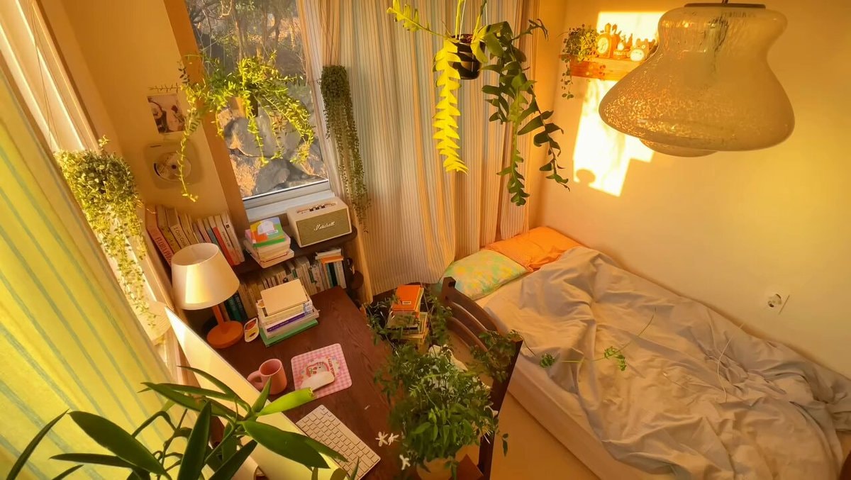 cozy bedroom with golden hour light