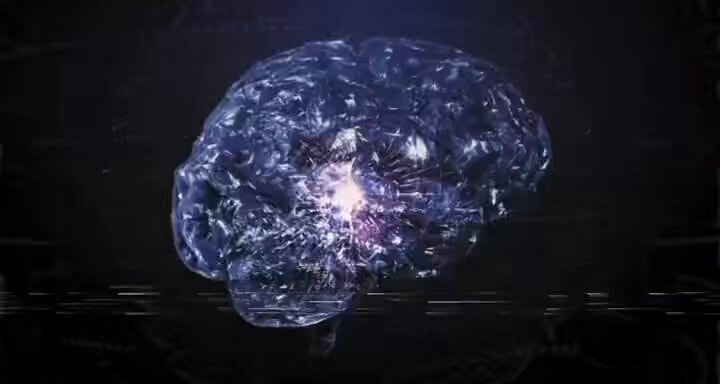 metacognition highest form of intelligence