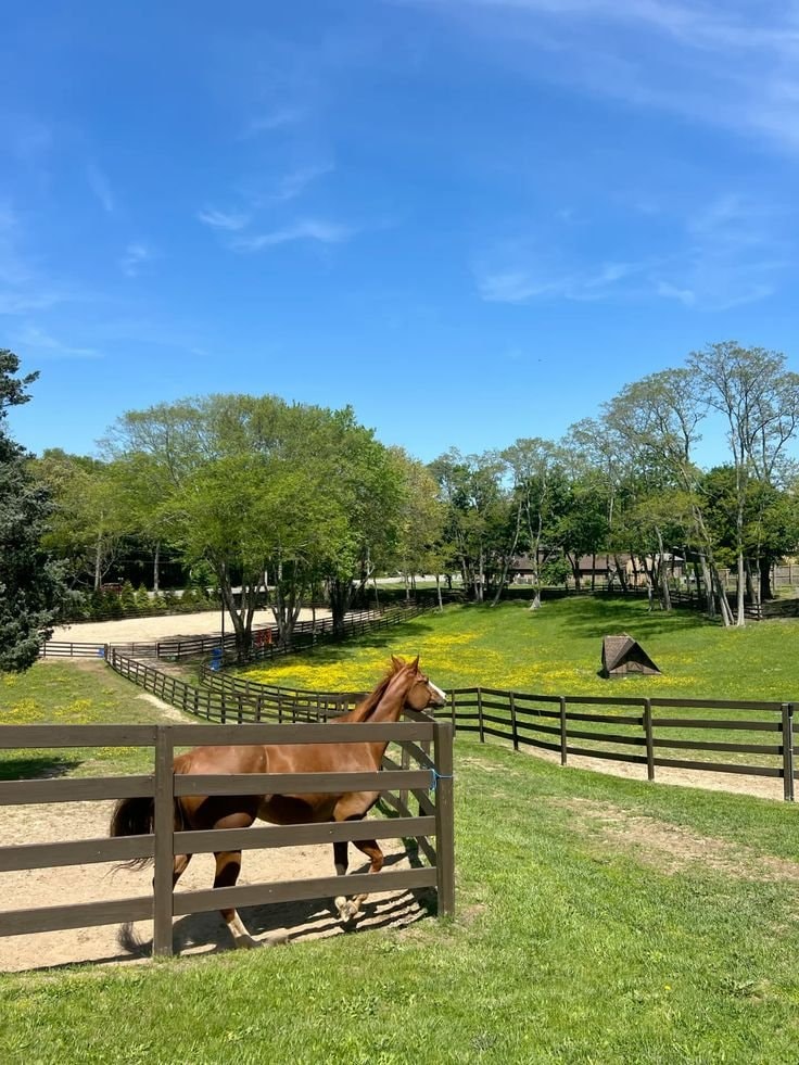 Englesqueville la Percee French countryside (photo 2 of 4)