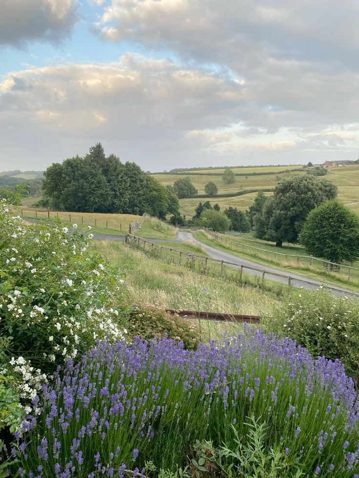 English Countryside Scene (photo 3 of 4)